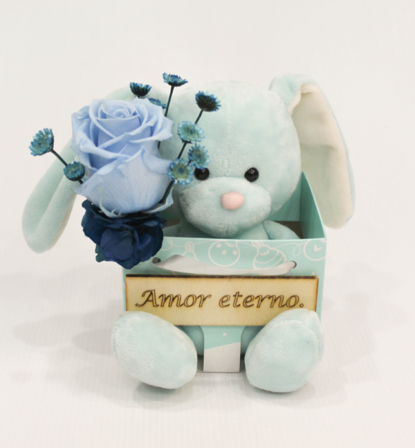 Peluche " Amor eteno con rosa eterna"