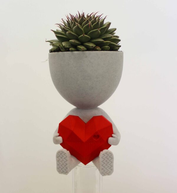 Planta Echeverría "Siempre en mi corazón" - Imagen 2